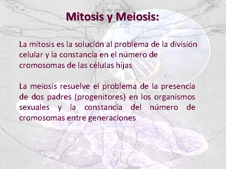 Mitosis y Meiosis: La mitosis es la solución al problema de la división celular