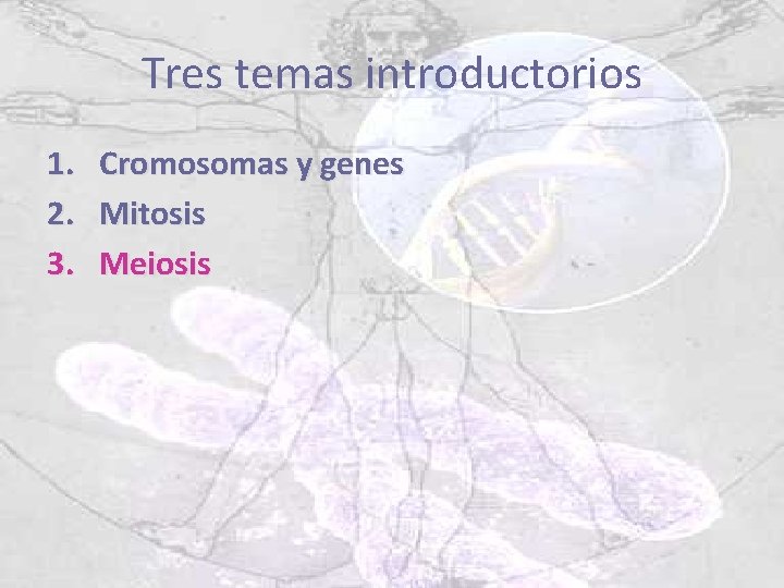 Tres temas introductorios 1. 2. 3. Cromosomas y genes Mitosis Meiosis 