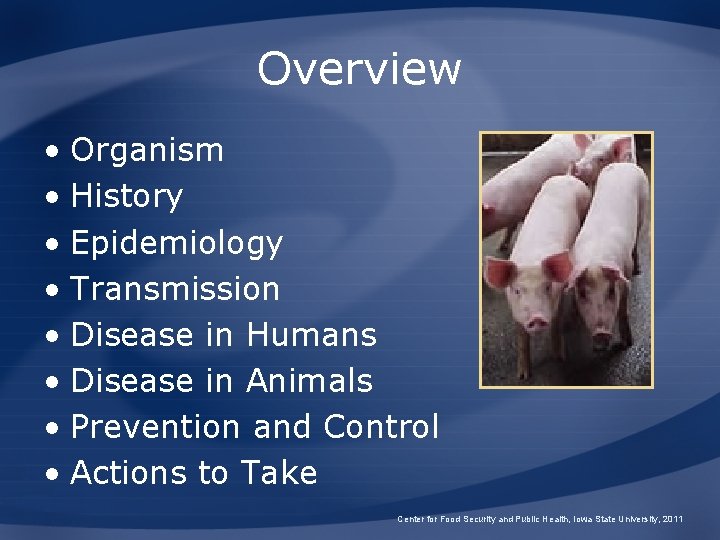 Overview • Organism • History • Epidemiology • Transmission • Disease in Humans •