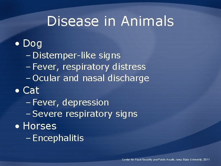 Disease in Animals • Dog – Distemper-like signs – Fever, respiratory distress – Ocular