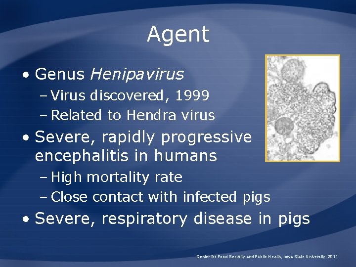 Agent • Genus Henipavirus – Virus discovered, 1999 – Related to Hendra virus •