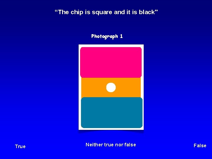 “The chip is square and it is black" Photograph 1 True Neither true nor