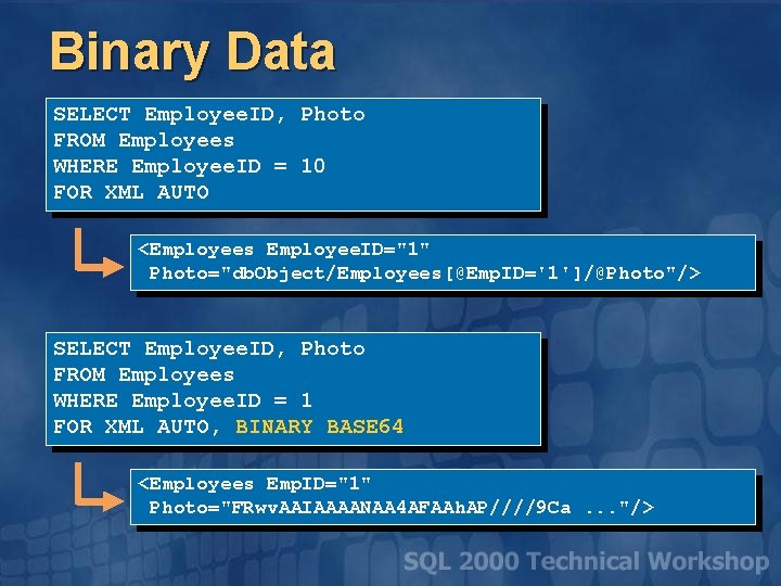 Binary Data SELECT Employee. ID, Photo FROM Employees WHERE Employee. ID = 10 FOR