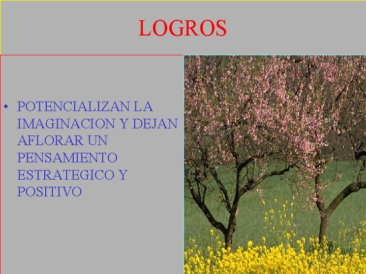 LOGROS • POTENCIALIZAN LA IMAGINACION Y DEJAN AFLORAR UN PENSAMIENTO ESTRATEGICO Y POSITIVO 