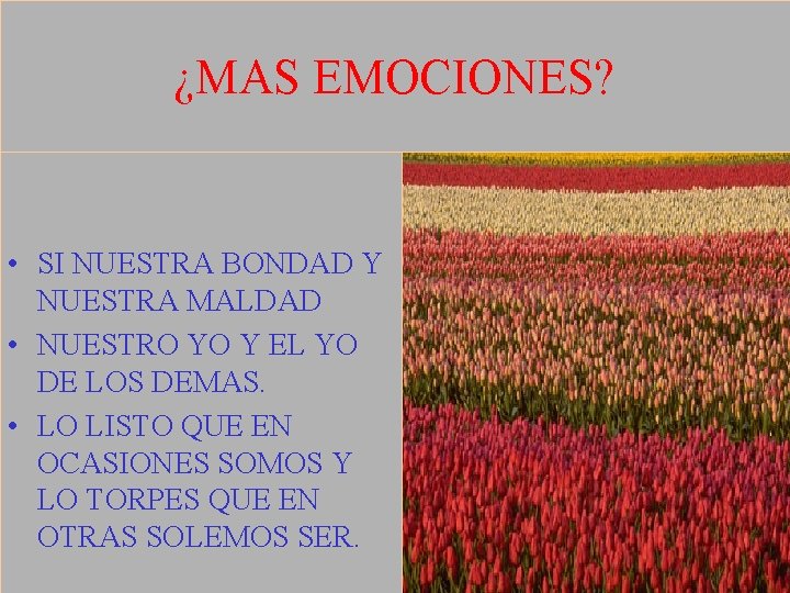 ¿MAS EMOCIONES? • SI NUESTRA BONDAD Y NUESTRA MALDAD • NUESTRO YO Y EL
