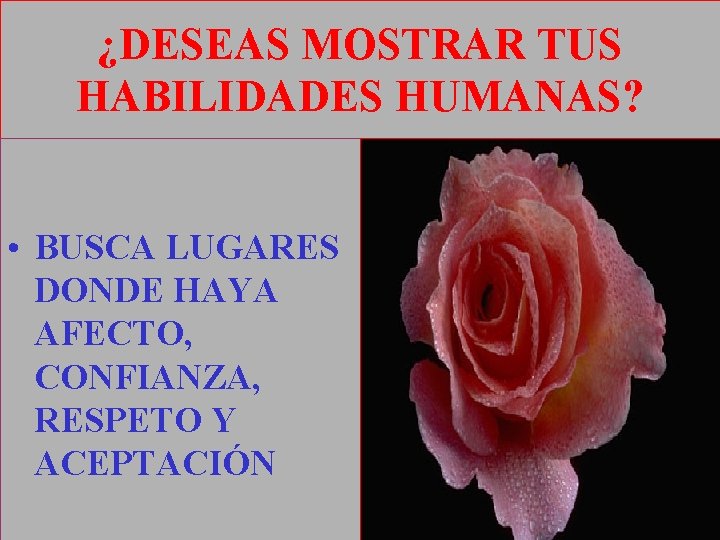 ¿DESEAS MOSTRAR TUS HABILIDADES HUMANAS? • BUSCA LUGARES DONDE HAYA AFECTO, CONFIANZA, RESPETO Y