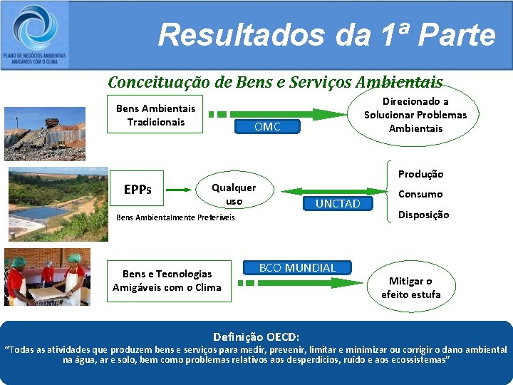 Resultados da 1ª Parte Conceituação de Bens e Serviços Ambientais Bens Ambientais Tradicionais EPPs