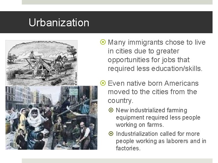 Urbanization Many immigrants chose to live in cities due to greater opportunities for jobs