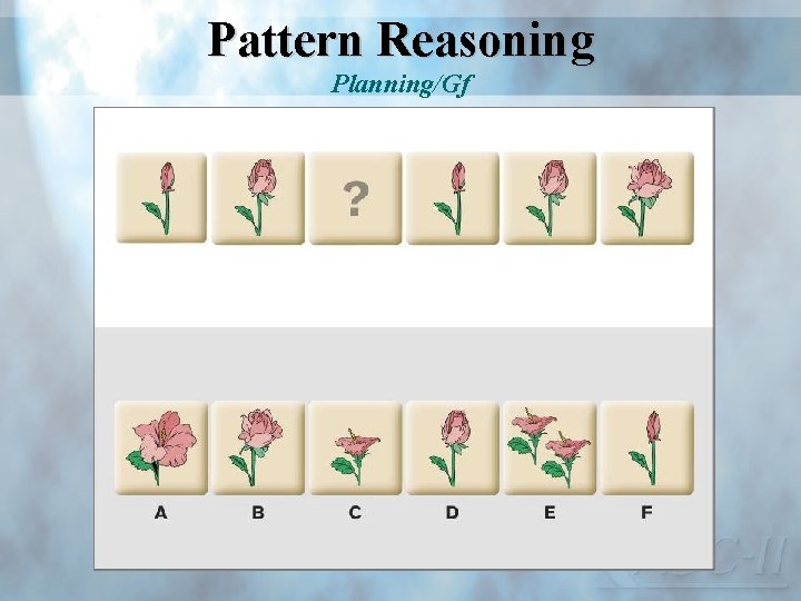 Pattern Reasoning Planning/Gf 