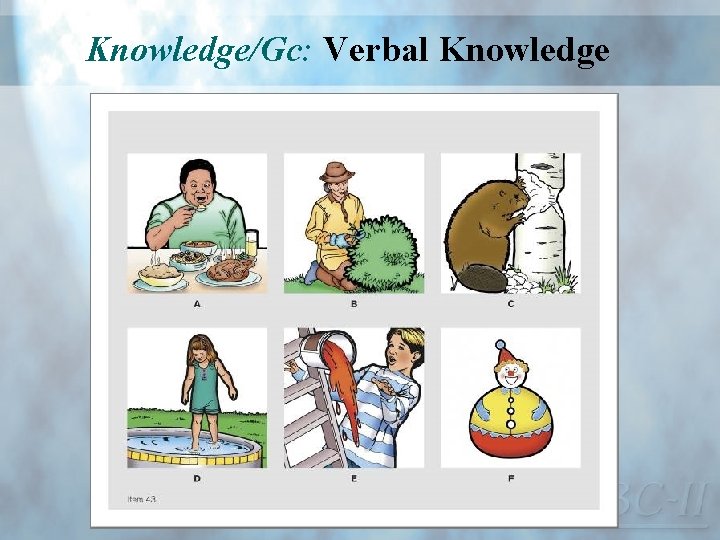 Knowledge/Gc: Verbal Knowledge 