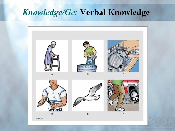 Knowledge/Gc: Verbal Knowledge 