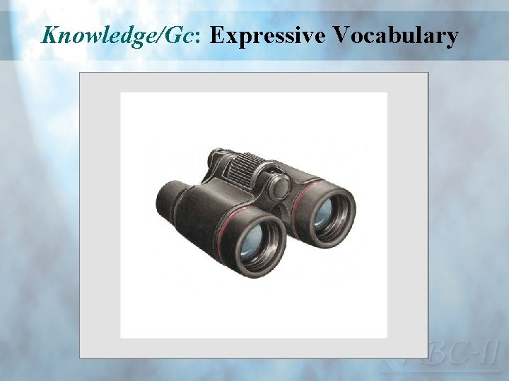 Knowledge/Gc: Expressive Vocabulary 