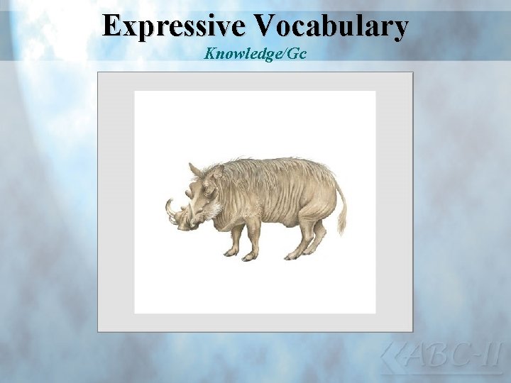 Expressive Vocabulary Knowledge/Gc 