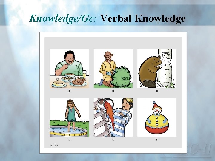 Knowledge/Gc: Verbal Knowledge 