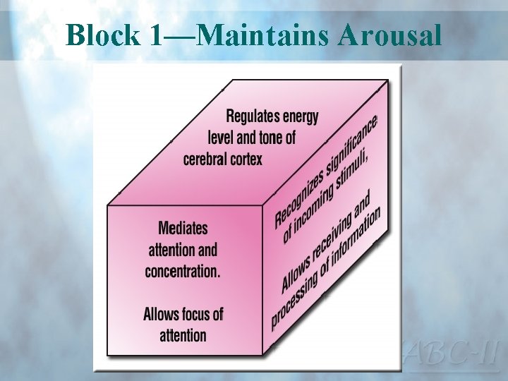 Block 1—Maintains Arousal 