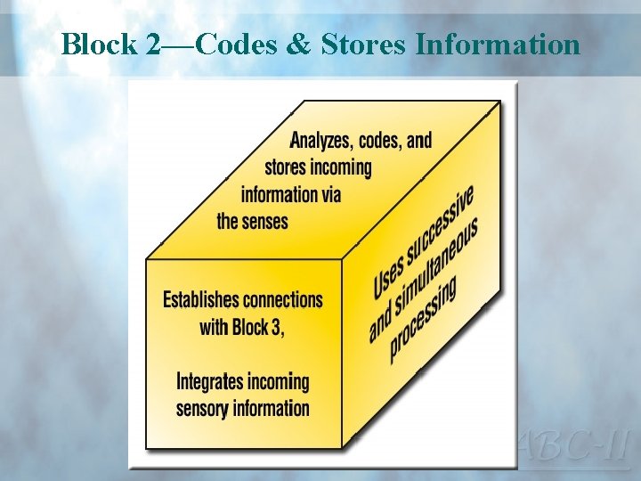 Block 2—Codes & Stores Information 