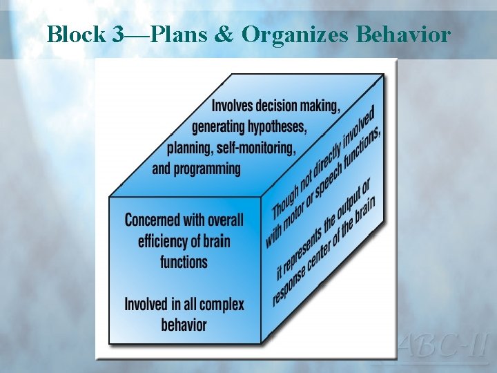 Block 3—Plans & Organizes Behavior 