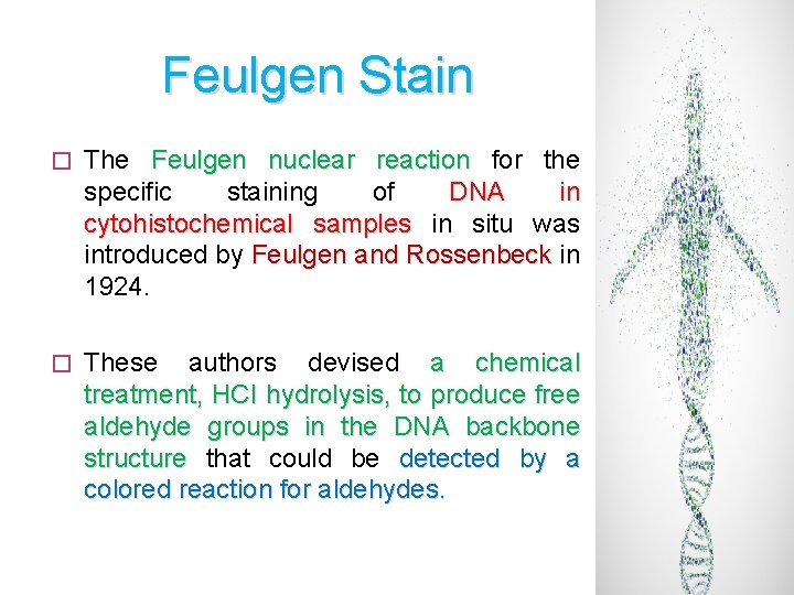 Feulgen Stain � The Feulgen nuclear reaction for the specific staining of DNA in