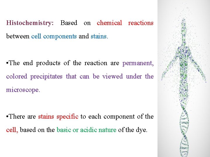 Histochemistry: Based on chemical reactions between cell components and stains. • The end products