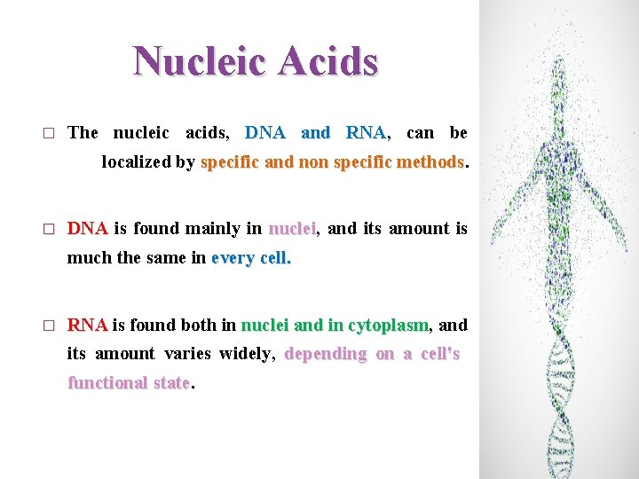 Nucleic Acids � The nucleic acids, DNA and RNA, RNA can be localized by