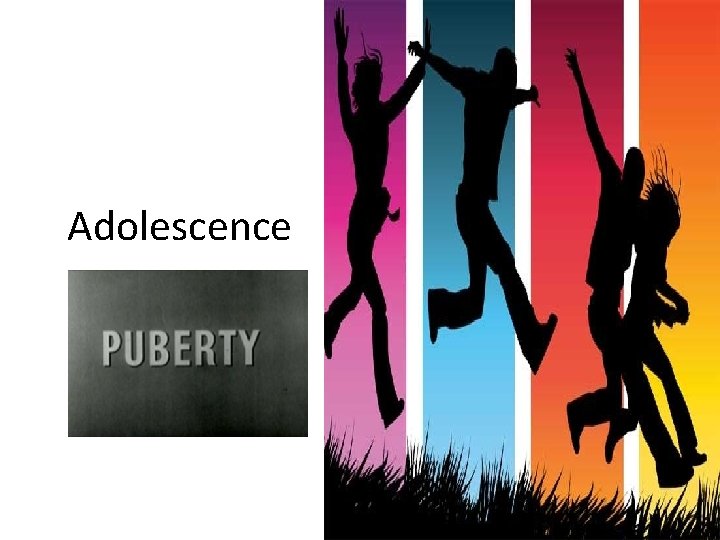 Adolescence PUBERTAS 