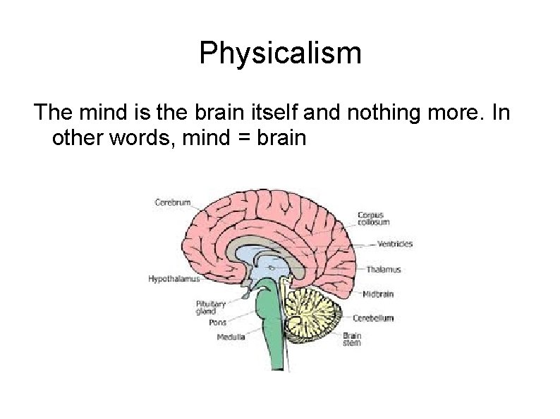 Physicalism The mind is the brain itself and nothing more. In other words, mind