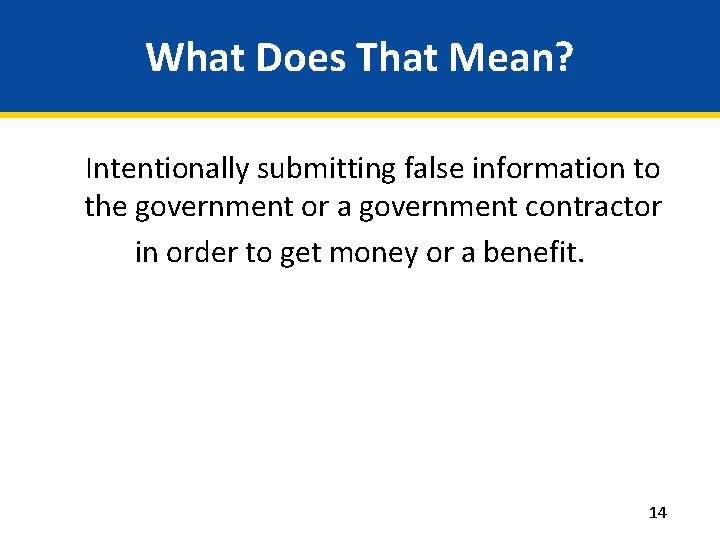 What Does That Mean? Intentionally submitting false information to the government or a government