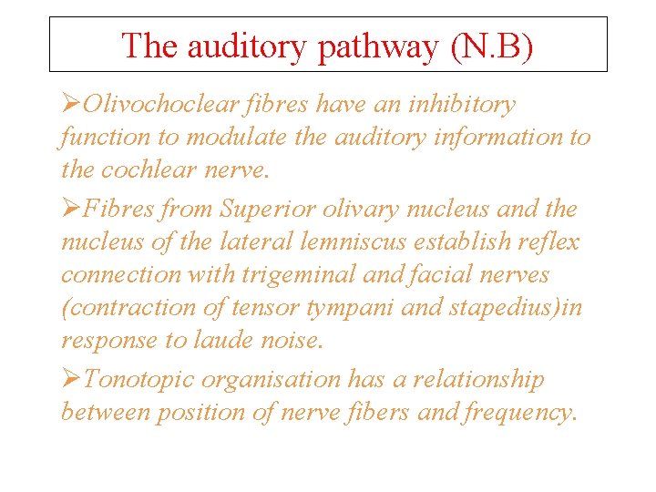 The auditory pathway (N. B) ØOlivochoclear fibres have an inhibitory function to modulate the