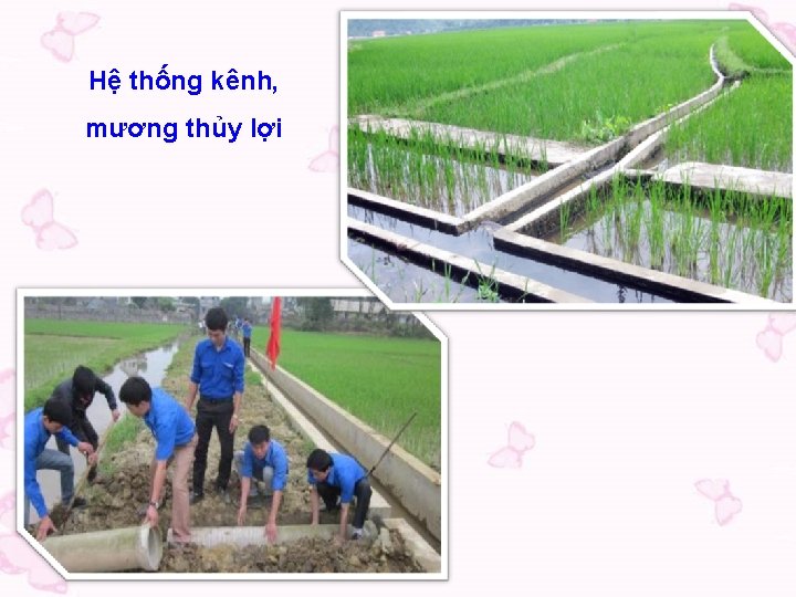 Hệ thống kênh, mương thủy lợi 