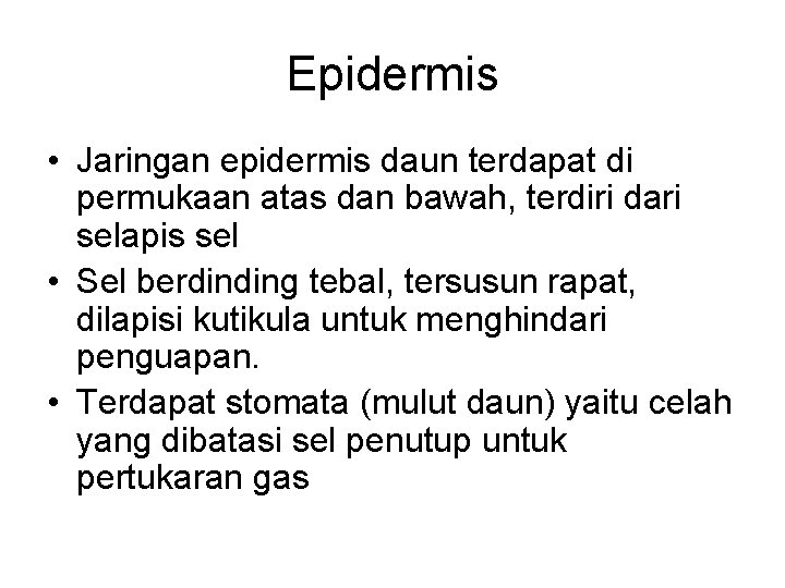 Epidermis • Jaringan epidermis daun terdapat di permukaan atas dan bawah, terdiri dari selapis Epidermis • Jaringan epidermis daun terdapat di permukaan atas dan bawah, terdiri dari selapis