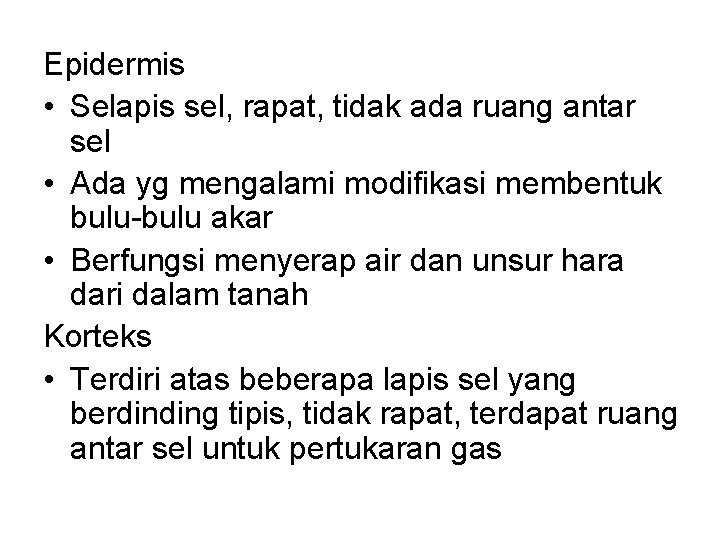 Epidermis • Selapis sel, rapat, tidak ada ruang antar sel • Ada yg mengalami