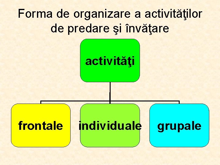 Forma de organizare a activităţilor de predare şi învăţare activităţi frontale individuale grupale 