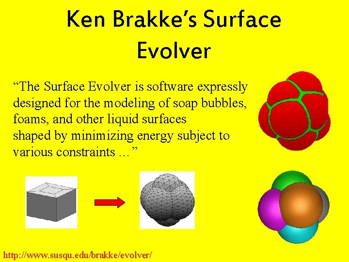 Ken Brakke’s Surface Evolver “The Surface Evolver is software expressly designed for the modeling
