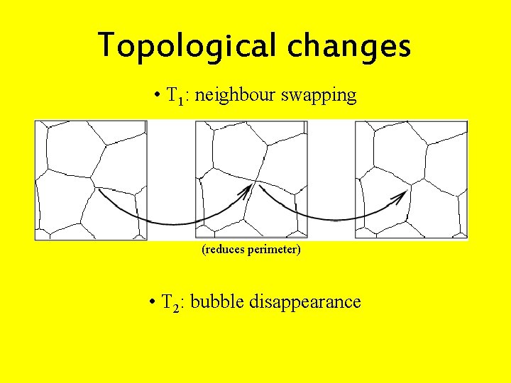 Topological changes • T 1: neighbour swapping (reduces perimeter) • T 2: bubble disappearance