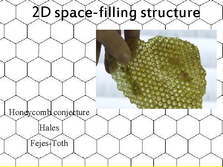 2 D space-filling structure Honeycomb conjecture Hales Fejes-Toth 