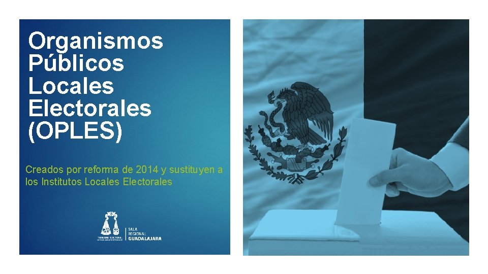 Organismos Públicos Locales Electorales (OPLES) Creados por reforma de 2014 y sustituyen a los