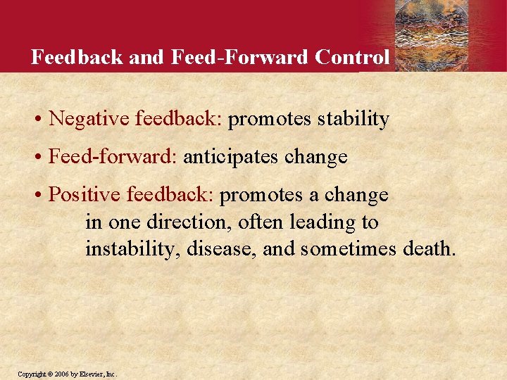 Feedback and Feed-Forward Control • Negative feedback: promotes stability • Feed-forward: anticipates change •