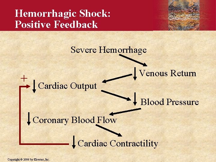 Hemorrhagic Shock: Positive Feedback Severe Hemorrhage + Venous Return Cardiac Output Blood Pressure Coronary