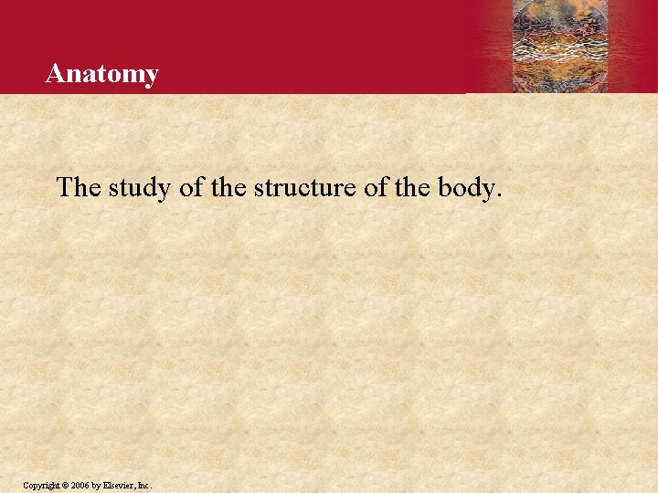 Anatomy The study of the structure of the body. Copyright © 2006 by Elsevier,