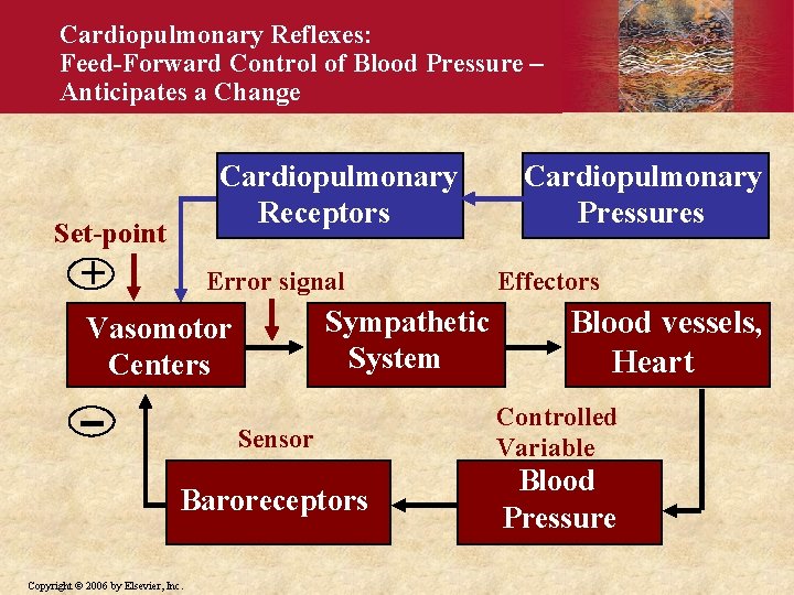 Cardiopulmonary Reflexes: Feed-Forward Control of Blood Pressure – Anticipates a Change Cardiopulmonary Receptors Set-point