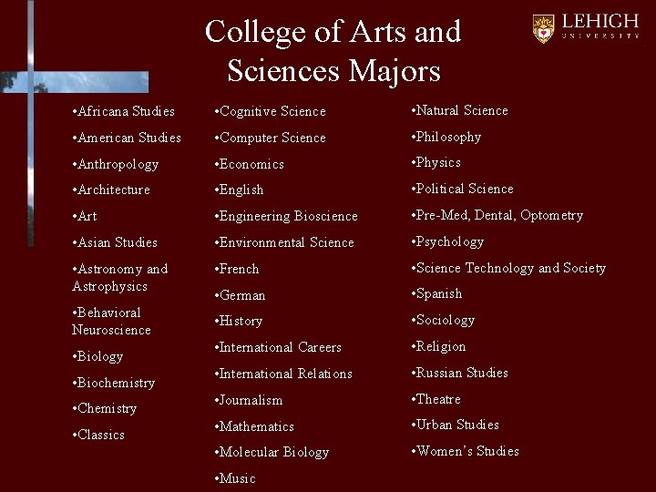 College of Arts and Sciences Majors • Africana Studies • Cognitive Science • Natural