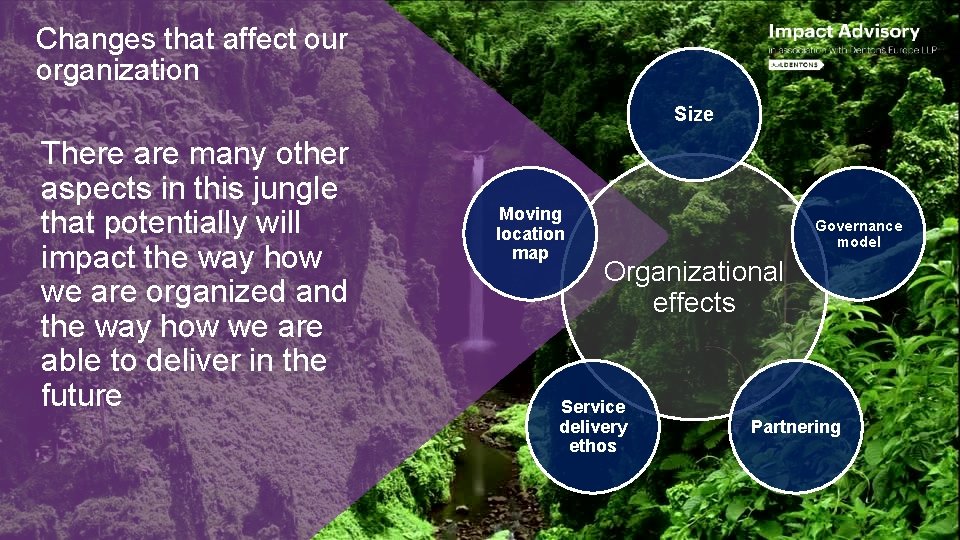 Changes that affect our organization Size There are many other aspects in this jungle