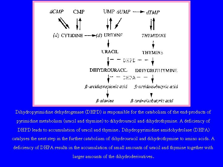 Dihydropyrimidine dehydrogenase (DHPD) is responsible for the catabolism of the end-products of pyrimidine metabolism