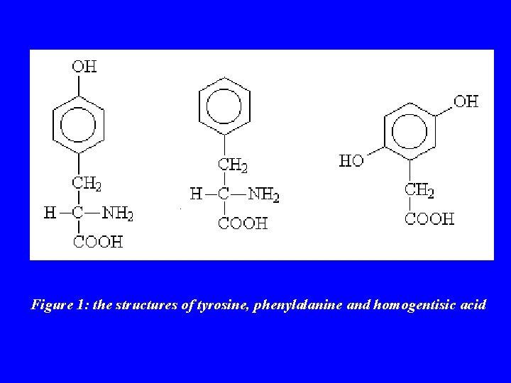 Figure 1: the structures of tyrosine, phenylalanine and homogentisic acid 