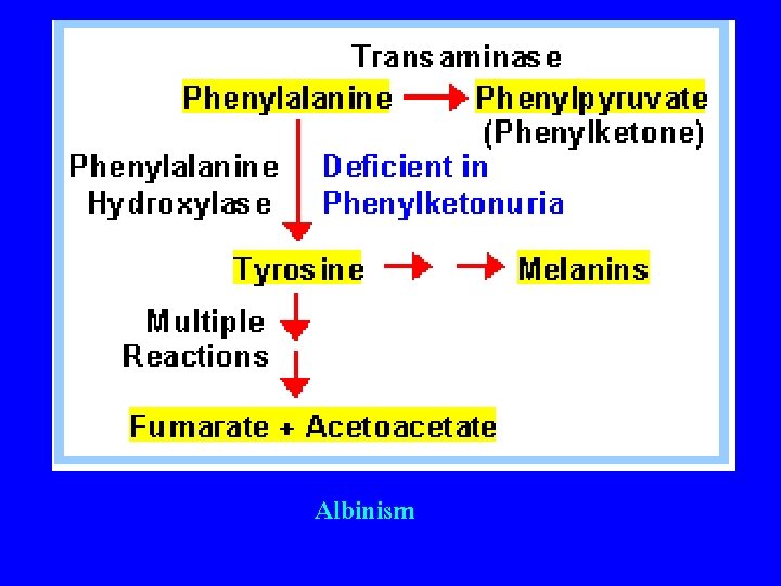 Albinism 