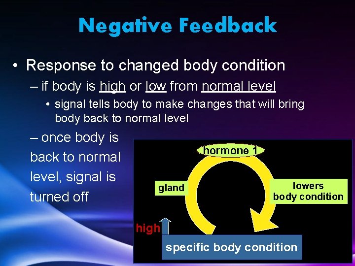 Negative Feedback • Response to changed body condition – if body is high or