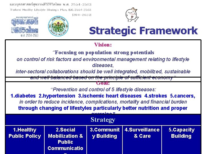 Strategic Framework Vision: “Focusing on population strong potentials on control of risk factors and