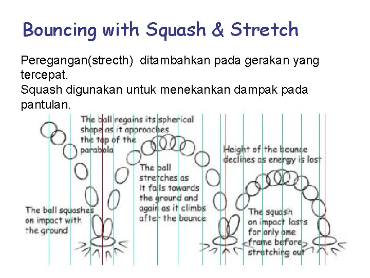 Bouncing with Squash & Stretch Peregangan(strecth) ditambahkan pada gerakan yang tercepat. Squash digunakan untuk