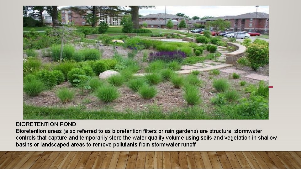 BIORETENTION POND Bioretention areas (also referred to as bioretention filters or rain gardens) are