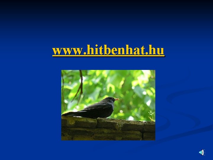 www. hitbenhat. hu 